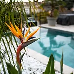 Aux Immortelles Villa *
